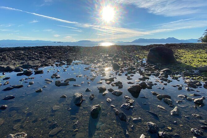 3-Hour Rainforest, Beach & Wildlife Walk - Final Thoughts