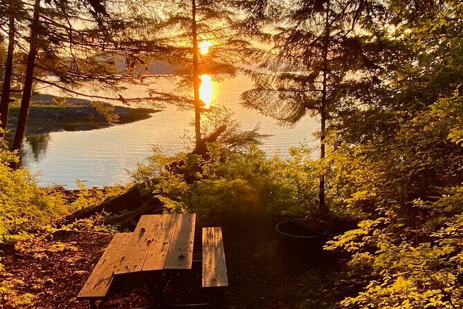 3-Hour Rainforest, Beach & Wildlife Walk - FAQs