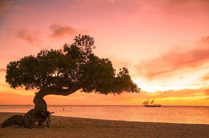 3-Hour Retreat for Couples and Marriage Counseling in Aruba - The Price and Its Value