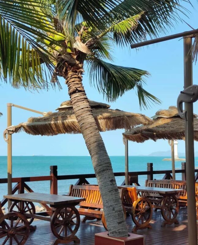 3-Hour Sanya Coastal & Tianya Town Tour - Analyzing the Value