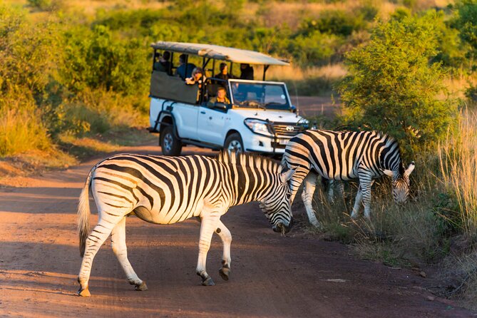 3-Hour Scheduled Safari Game Drive in Pilanesberg National Park - Overview of Pilanesberg National Park