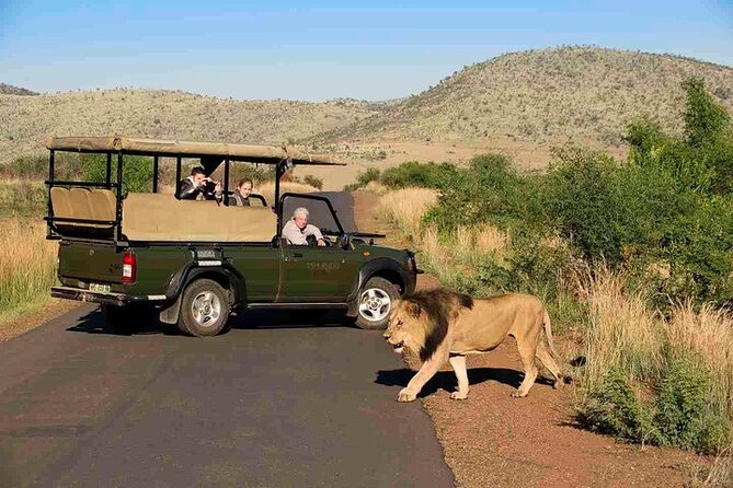 3-Hour Scheduled Safari Game Drive in Pilanesberg National Park - Experienced Guides and Safari Vehicles
