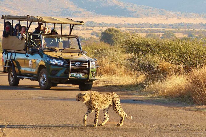 3-Hour Scheduled Safari Game Drive in Pilanesberg National Park - Booking and Availability for the Safari Drive