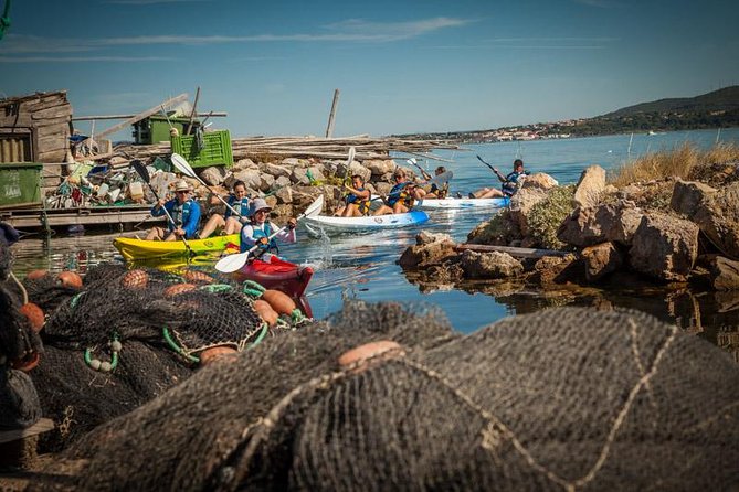 3 Hour Sea Kayak Trip in the Canals of Sete - Trip Highlights