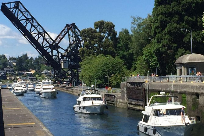 3-Hour Seattle City Tour - Customer Service and Recommendations