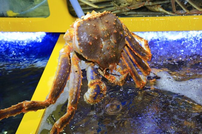 3-Hour Self-Guided Sokcho Tour With Private Transportation - Additional Information