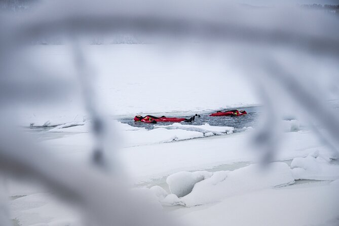 3-Hour Shared Arctic Morning Floating Experience in Norway - Experience Details