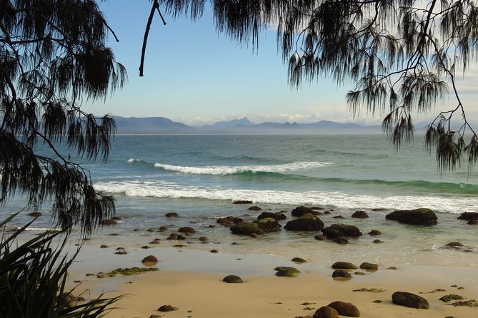 3-Hour Small-Group Byron Bay Tour - Tour Highlights