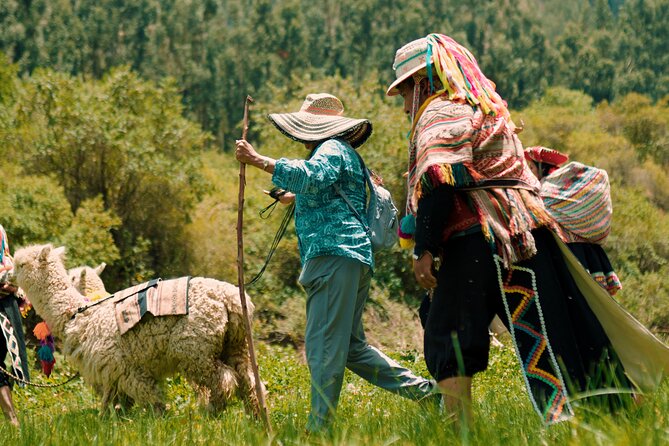 3-Hour Small-Group Hiking With Alpaca in Sacred Valley - Inclusions and Exclusions