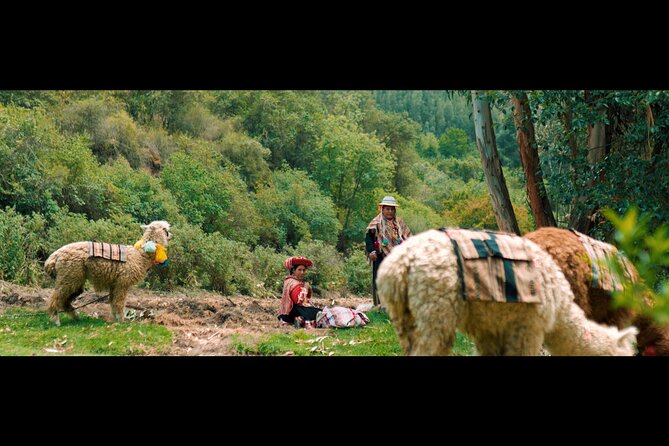 3-Hour Small-Group Hiking With Alpaca in Sacred Valley - Reservation Process