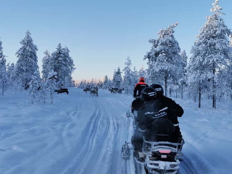 3-hour snowmobiling adventure in Levi - Good To Know