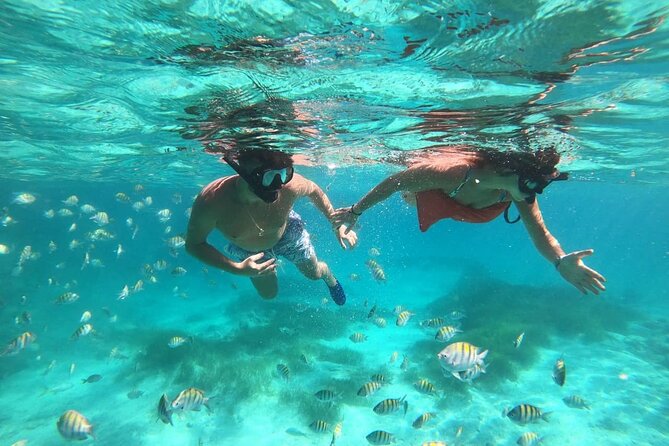3 Hour Speed Boat and Snorkeling Adventure in Punta Cana - Snorkeling Experience