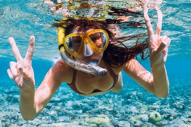 3-Hour Speed Boat Excursion to Portitxol With Snorkeling - Cancellation Policy