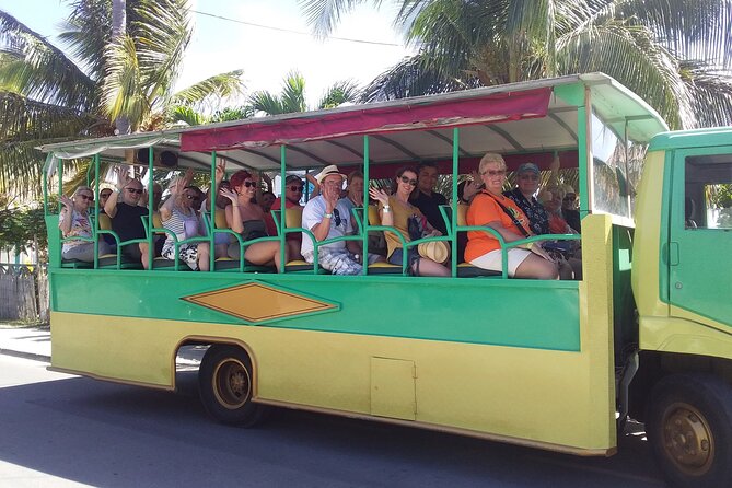3 Hour St. Kitts Open Air Safari Exotic Tour - Tour Overview