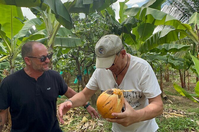 3-Hour St. Lucia Island Tour with Zero Entry Free - FAQs