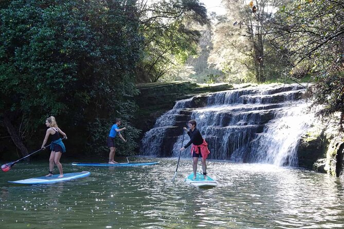 3-Hour Stand-Up Paddle Boarding Tour to Lucas Creek Waterfall - Tour Overview