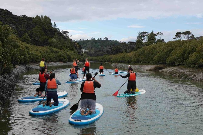 3-Hour Stand-Up Paddle Boarding Tour to Lucas Creek Waterfall - Inclusions