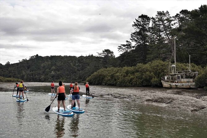 3-Hour Stand-Up Paddle Boarding Tour to Lucas Creek Waterfall - Meeting and Pickup