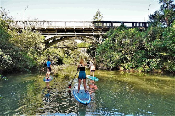 3-Hour Stand-Up Paddle Boarding Tour to Lucas Creek Waterfall - The Sum Up