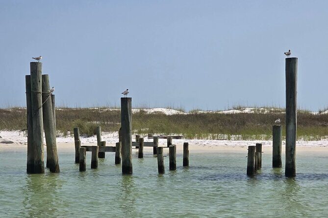 3 Hour Sunset Cruise to Shell Island - What We Love & What to Keep in Mind