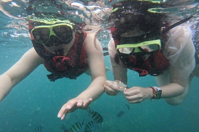 3 Hour Sunset Cruise to Shell Island - FAQ