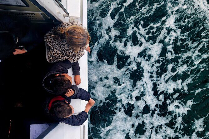 3 Hour Tauranga Scenic Cruise - FAQs