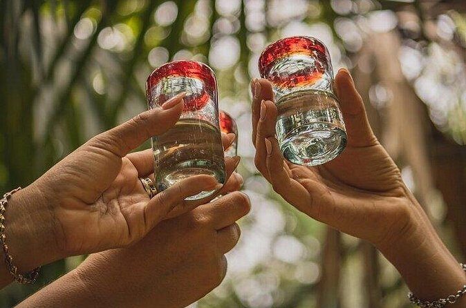 3 Hour Tequila Tasting Frida Kahlo - FAQ for the 3 Hour Tequila Tasting Frida Kahlo Experience