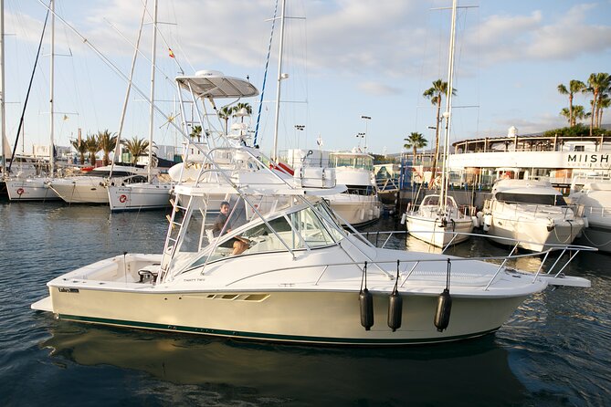 3-Hour Tour in Private Charter From the South of Tenerife - The Sum Up