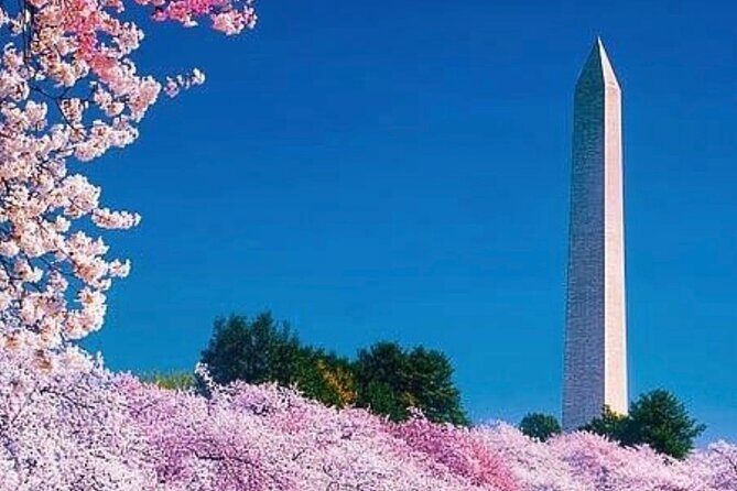 3 Hour Tour Of Washington, D.C. The Nucleus Of Democracy - Authenticity and Extra Touches