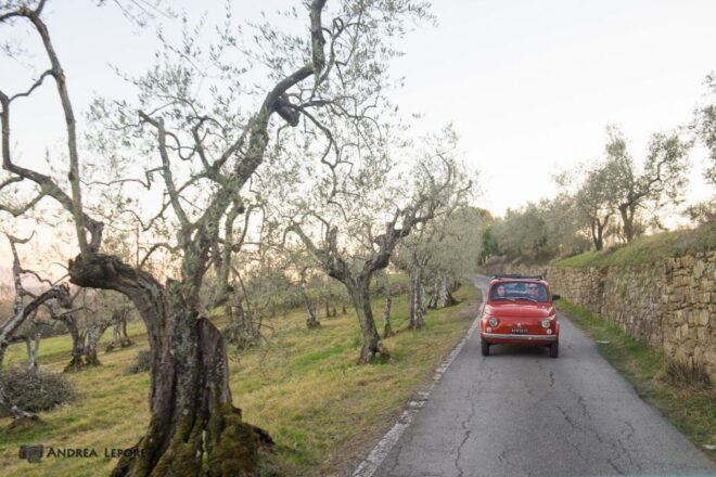 3-Hour Vintage FIAT 500 Chianti Classico Private Wine Tour - Booking Information