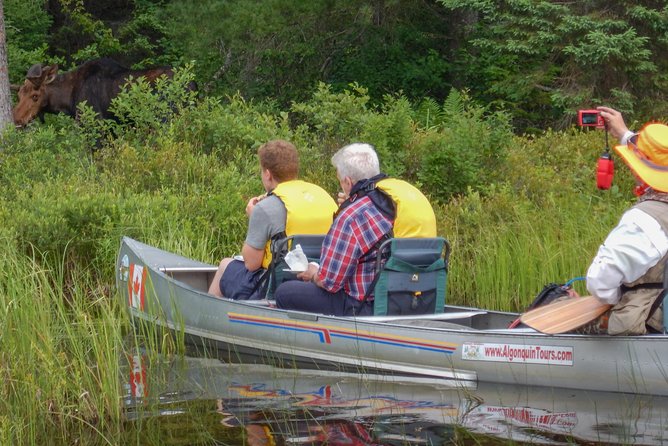 3 Hour VIP Electric Canoe Photography Tour (Private, Price Is for 2 People) - Tour Overview and Logistics