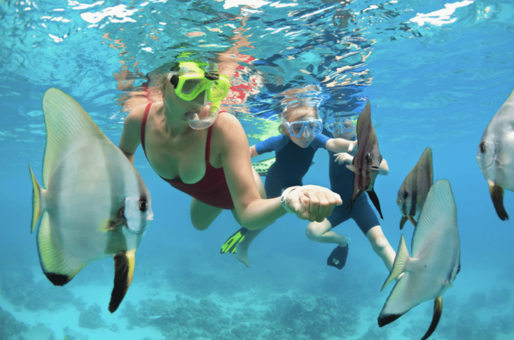 3- Hour Waikiki Snorkel Adventure - Activity Overview
