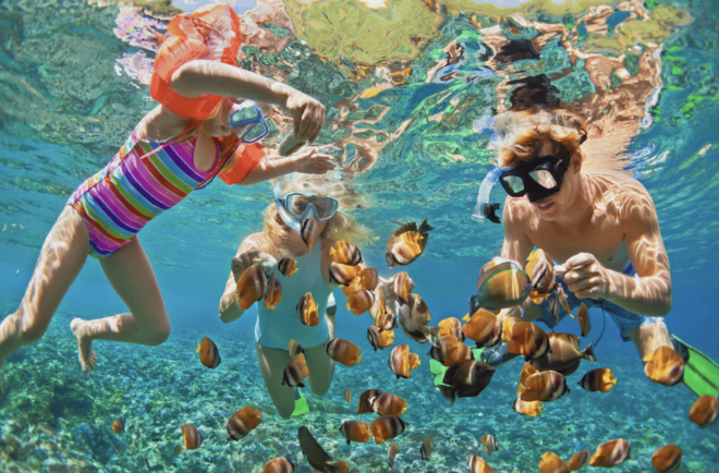 3- Hour Waikiki Snorkel Adventure - Important Information