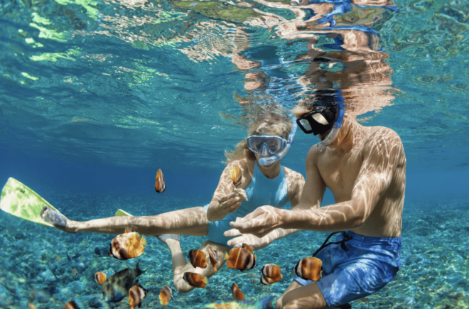 3- Hour Waikiki Snorkel Adventure - Meeting Point and What to Bring