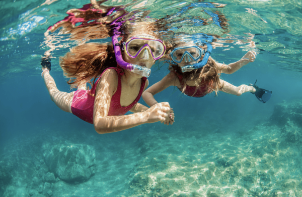 3- Hour Waikiki Snorkel Adventure - Frequently Asked Questions