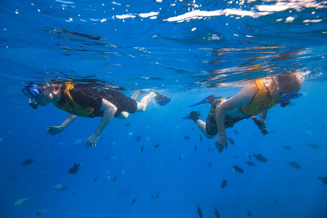 3 Hour Waikiki Waterslide, Snorkel and Diamond Head Cruise - Cancellation Policy