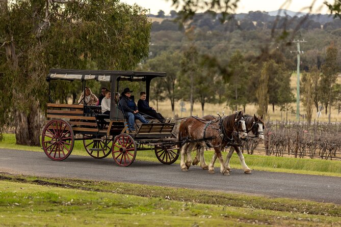 3- Hour Wine and Harvest the Hunter Horse Tour in Pokolbin - Tour Overview