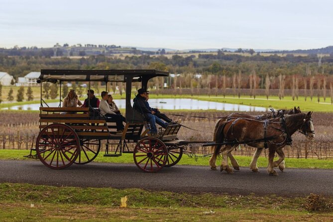 3- Hour Wine and Harvest the Hunter Horse Tour in Pokolbin - Inclusions and Experiences