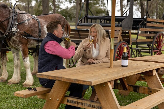 3- Hour Wine and Harvest the Hunter Horse Tour in Pokolbin - Snacks and Food Options