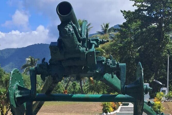 3-Hour WWII Private Bus Tour for Cruise Ship Passengers - Who Will Enjoy This Tour?