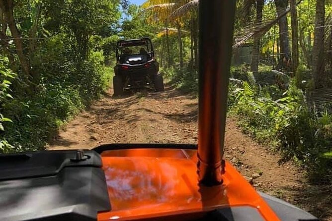 3 Hours ATV/Dune Buggy Jungle Ride & River Swim From Montego Bay - Booking Information