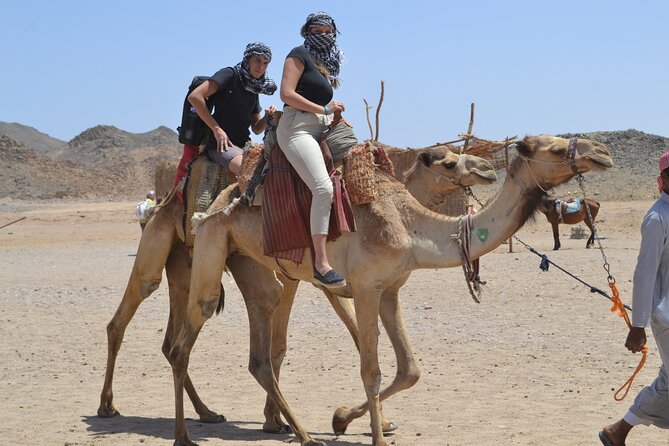 3 Hours ATV Quad, Camel Ride and 2 Hours Semi-Submarine With Transfer - Hurghada - Review Directions