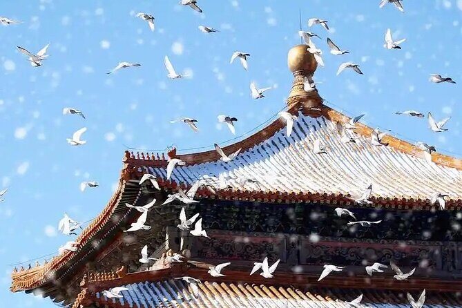 3 Hours Beijing Palace Museum Guided Tour English or Chinese - Who Should Consider This Tour?