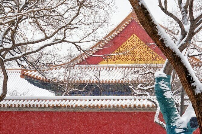 3 Hours Beijing Palace Museum Guided Tour English or Chinese - Practicalities: Price, Group Size, and Flexibility