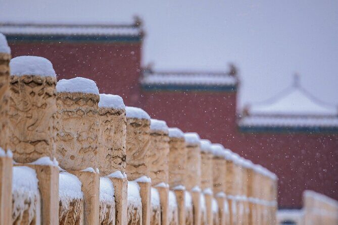 3 Hours Beijing Palace Museum Guided Tour English or Chinese - What’s Not Included and Considerations
