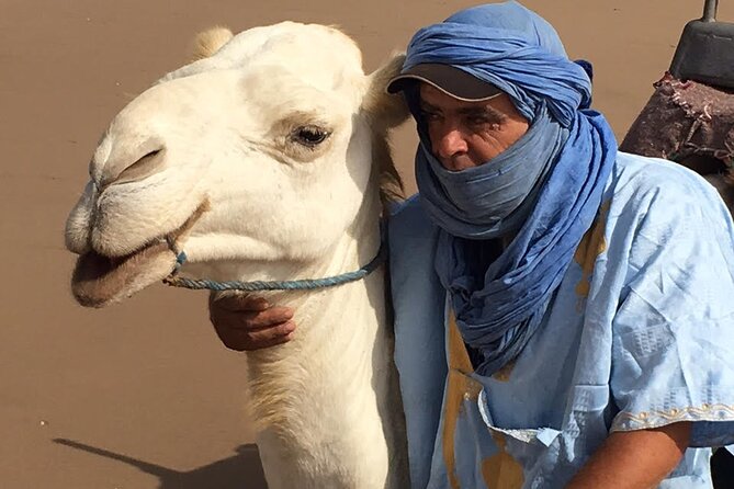 3 Hours Camel Ride in Essaouira, Beach and Dunes - Common Questions