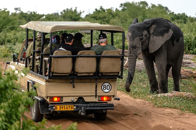 3 Hours Chobe Game Drive Safari, Botswana - Good To Know