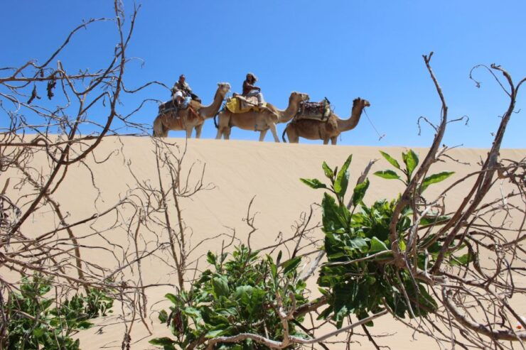 3-Hours Dromedary Ride Essaouira, Morocco - Activity Duration and Location