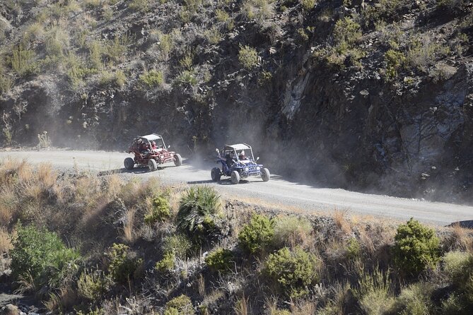 3 Hours Guided Buggy Safari Adventure in the Mountains of Mijas - What To Expect and Additional Information