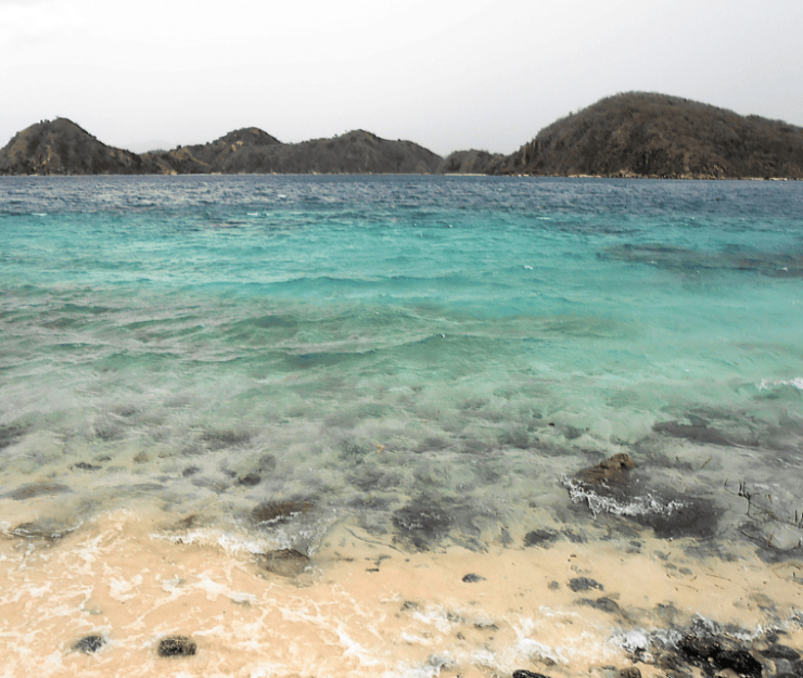 3 Hours Guided Clear Kayak Around Labuan Bajo - Highlights of the Tour